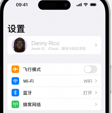 方城appleID维修服务iPhone设置中Apple ID显示为灰色无法使用