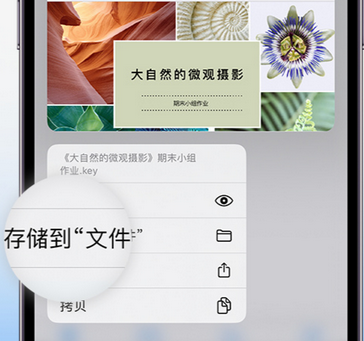 方城apple维修中心分享iPhone文件应用中存储和找到下载文件