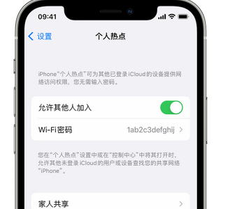 方城apple服务站点分享iPhone上个人热点丢失了怎么办