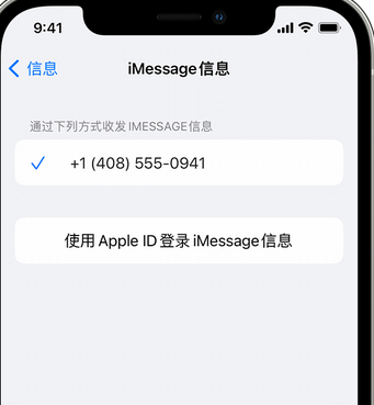 方城apple维修iPhone上无法正常发送iMessage信息 