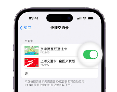 方城apple维修点分享iPhone上更换Apple Pay快捷交通卡手绘卡面 