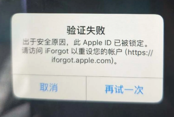 方城iPhone维修分享iPhone上正常登录或使用AppleID怎么办 