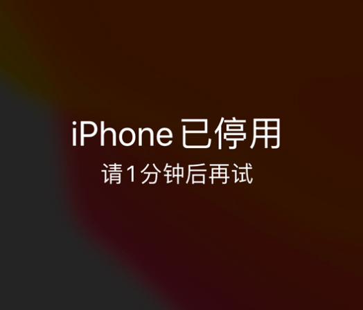 方城苹果手机维修分享:iPhone 显示“不可用”或“已停用”怎么办？还能保留数据吗？ 