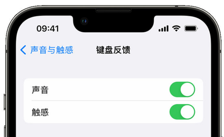 方城苹果手机维修分享iPhone 14触感键盘使用方法 