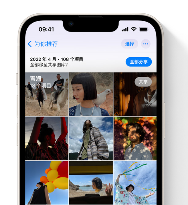 方城苹果维修网点分享在 iPhone 上使用共享图库 