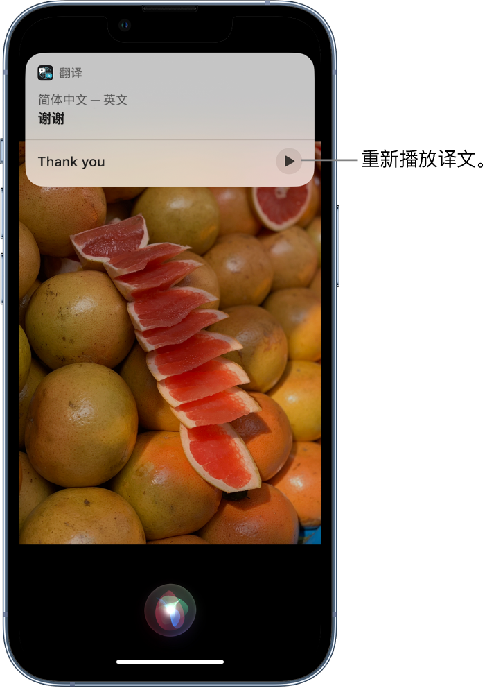 方城苹果14维修分享 iPhone 14 机型中使用 Siri：了解 Siri 能帮你做什么 