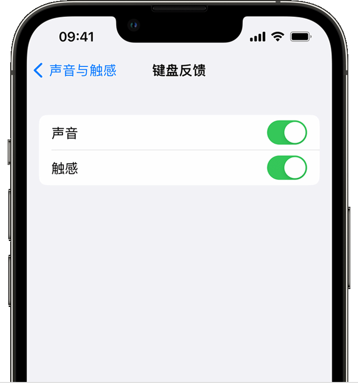 方城苹果14维修分享iPhone 14 系列机型如何开启键盘声音或触感反馈 