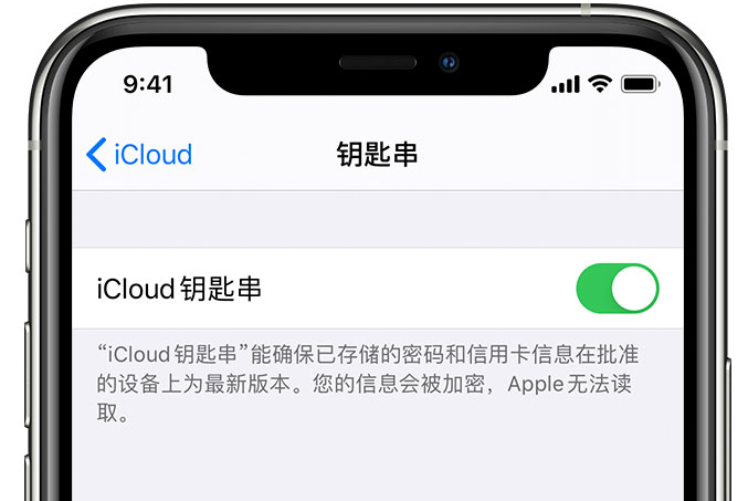 方城苹果手机维修分享在 iPhone 上开启 iCloud 钥匙串之后会储存哪些信息 