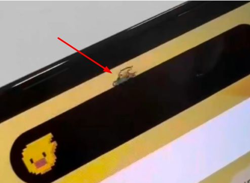方城苹果14维修分享iPhone 14 Pro Max灵动岛怎么养宠物 