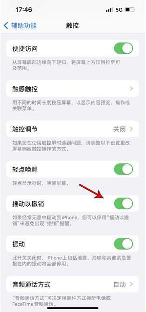 方城苹果手机维修分享iPhone手机如何设置摇一摇删除文字 