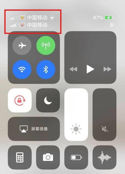 方城苹果手机维修分享为 iPhone 12 双卡设置标签 