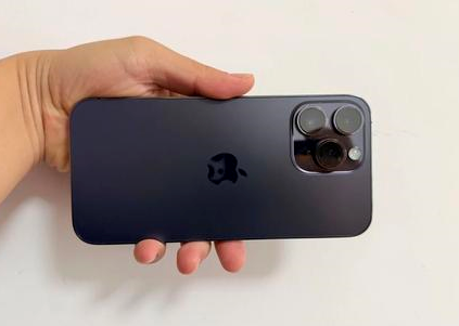 方城苹果维修点分享iPhone 14 Pro Max黑屏少见故障盘点 